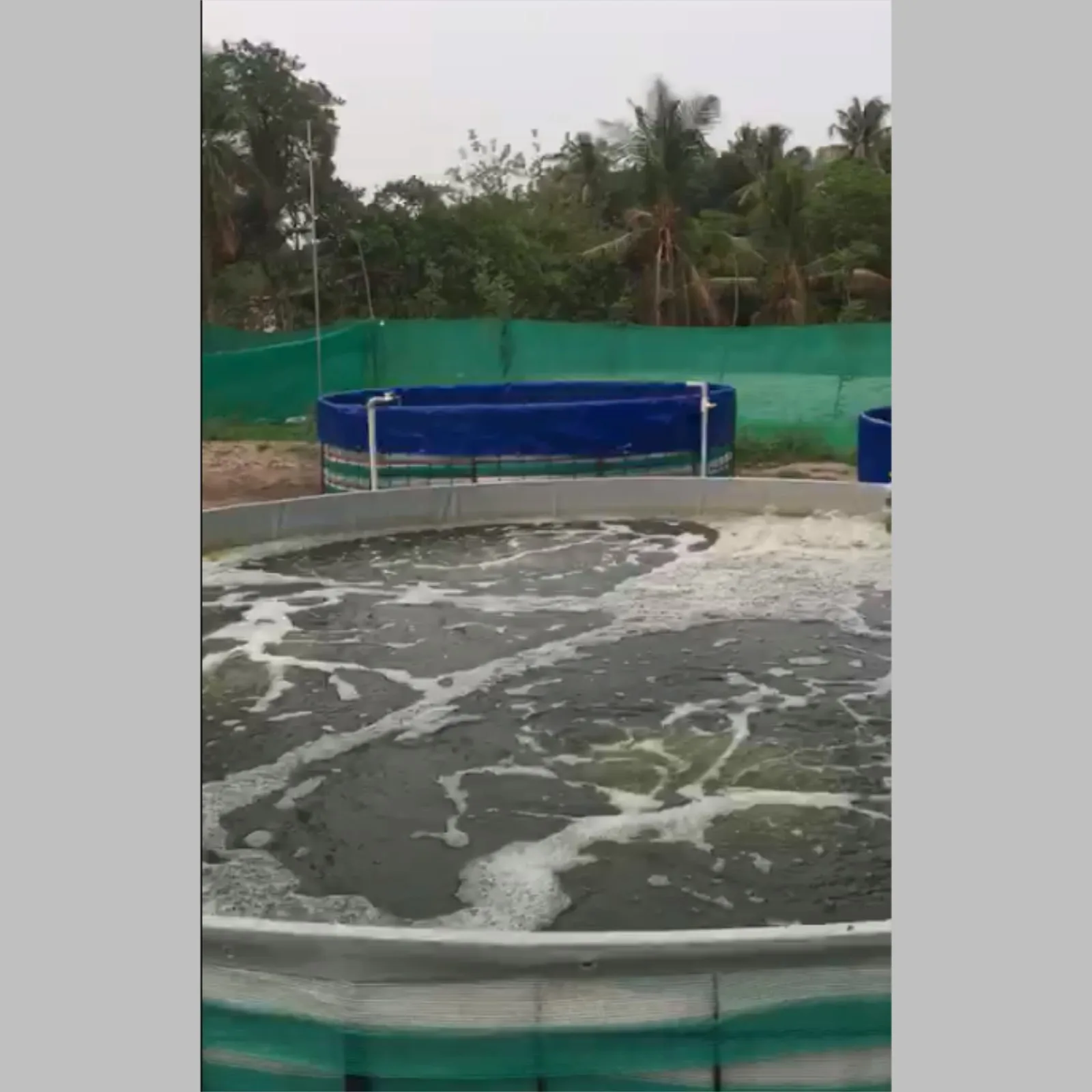 aquaculture blower manufacturers